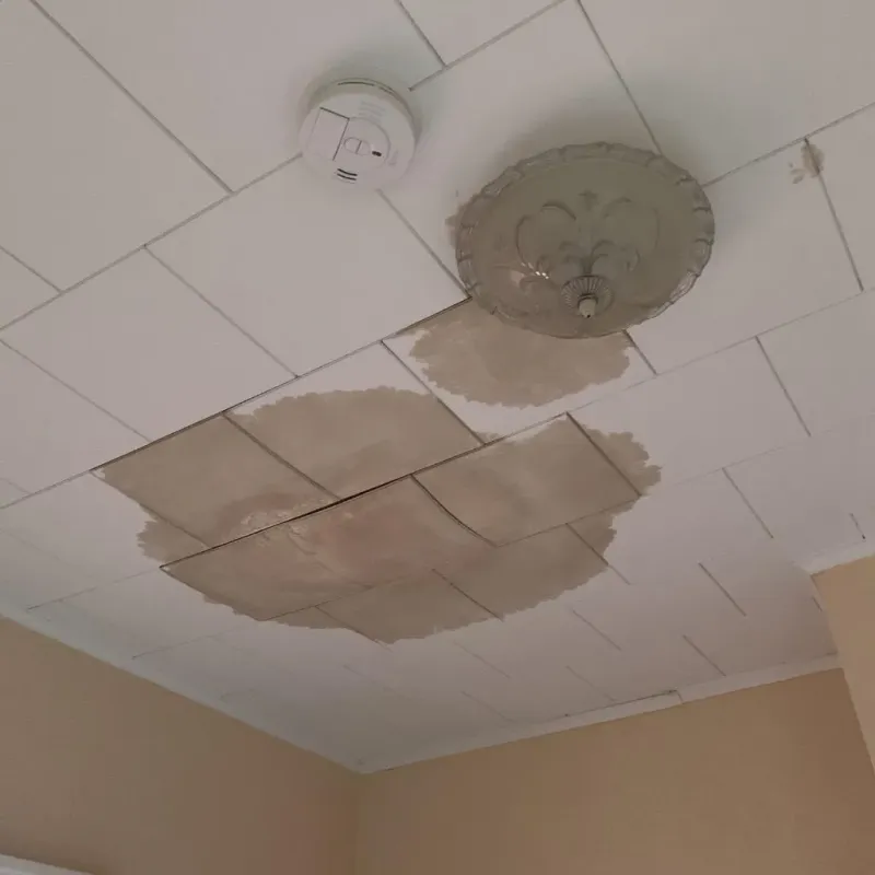 Ceiling Water Damage Repair in Golden Hills, CA