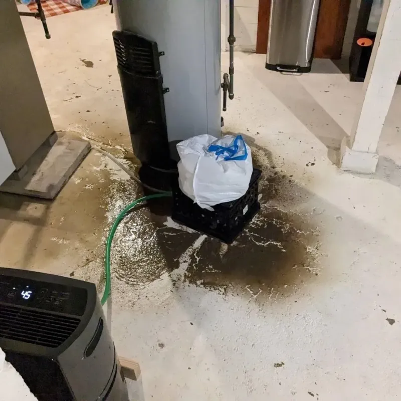 Sewage Backup Cleanup Service in Golden Hills, CA